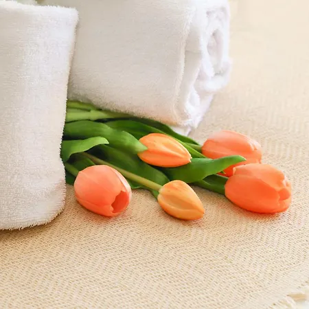 Pre 3 By Interhome * Verbier